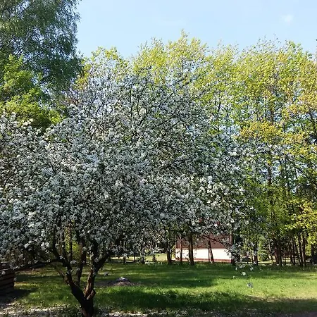 Urocza *