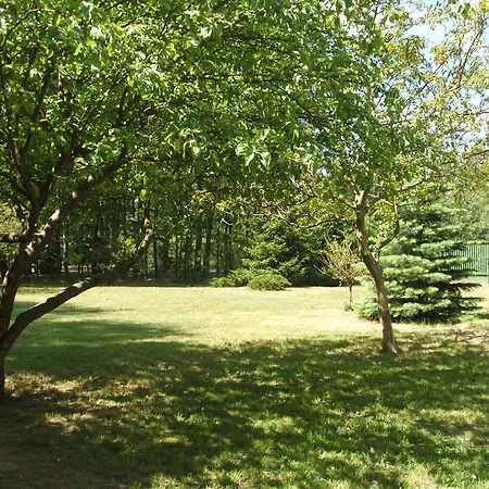 Villa Urocza Wolica (Masovia)